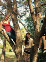 Three Environmental Sustainability Fellows up a tree